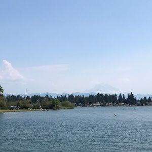 Meet your Posher, Ariel